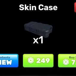 RIVALS - Skin Case 1【249R】