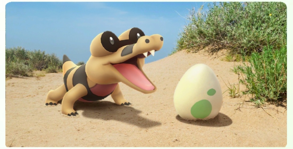 💝 Sandile Hatch Day Premium Timed Research Ticket ❤️ ONLY TILL  17th oct ❤️‍🔥 TRAINER CLUB LOGINS