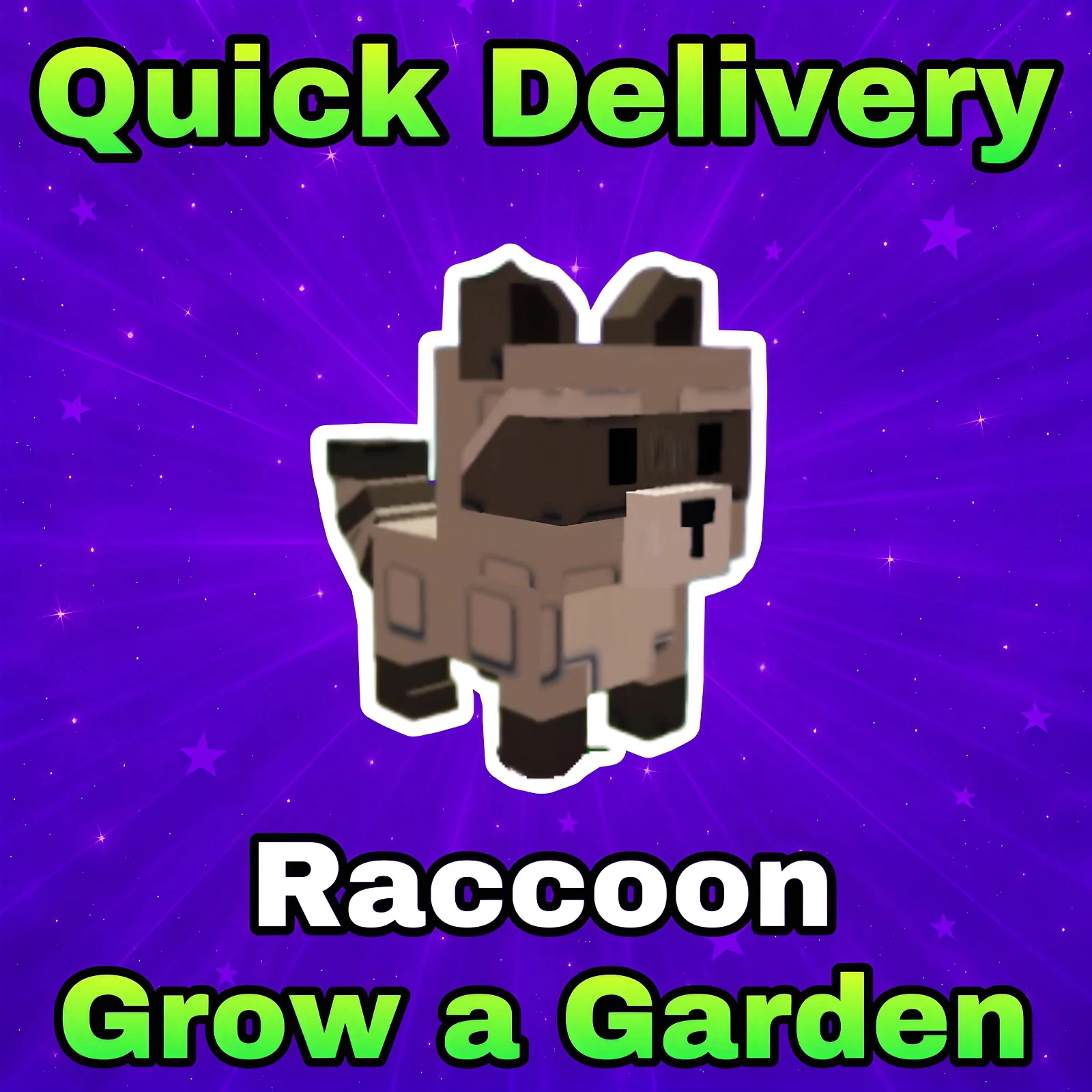 🦝 Raccoon Pet – Grow a Garden | 🤑 CHEAPEST Price 🤑  Cheap Pets!
