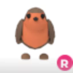 Robin Ride