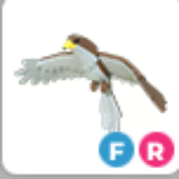 Hawk Fr