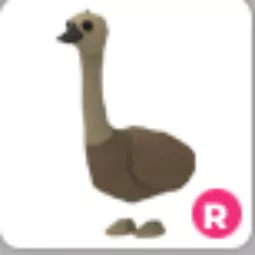 Emu Ride