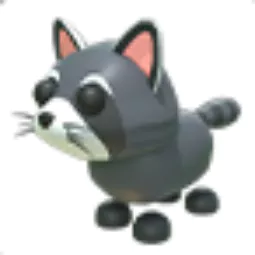 Raccoon