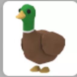 Drake