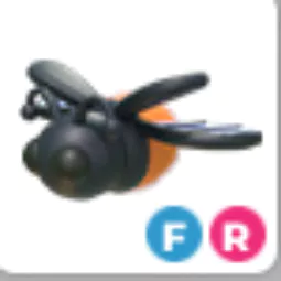 Firefly Fr