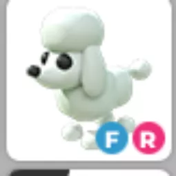 Poodle Fr
