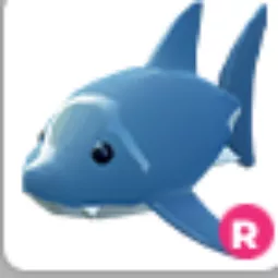 Shark Ride