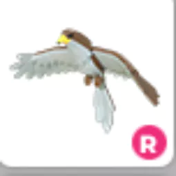 Hawk Ride