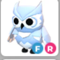 Snow owl Fr