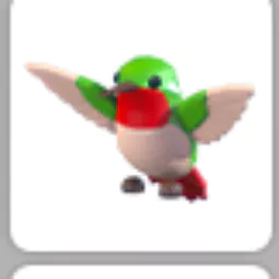 Hummingbird