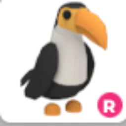 Toucan Ride