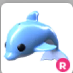 Dolphin Ride