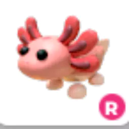 Axolotl Ride