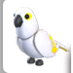 White Amazon