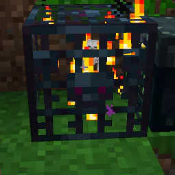 5 Skeleton Spawner
