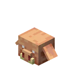 🗡️Piglin Head ⚡Fast Delivery⚡
