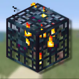 X1728 Skeleton Spawners (Shulker)
