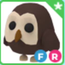 Owl FR