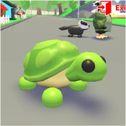 FR Turtle