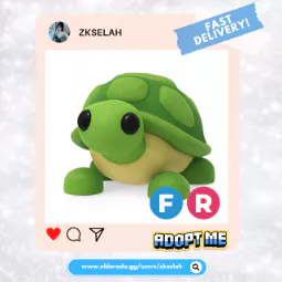 FR Turtle