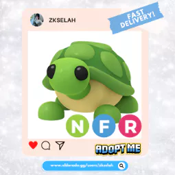 NFR Turtle