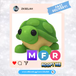 MFR Turtle