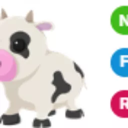 Cow NFR #23