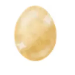 2xGolden Egg - Adopt Me Fast Delivery