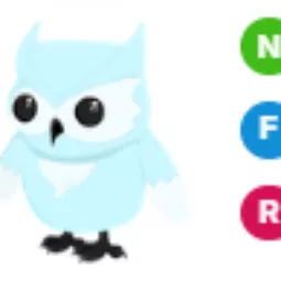 NFR Snow Owl - Adopt Me Fast Delivery