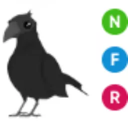 NFR Crow Adopt Me