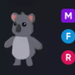 MFR Koala - Adopt Me Fast Delivery