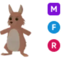 MFR Kangaroo - Legendary - Adopt Me Fast Delivery