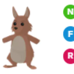 NFR Kangaroo - Adopt Me Fast Delivery
