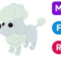 MFR Poodle - Adopt Me Fast Delivery