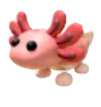 Axolotl | FR | Adopt Me | Fast Delivery