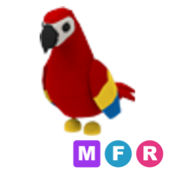 MFR Parrot- Adopt Me