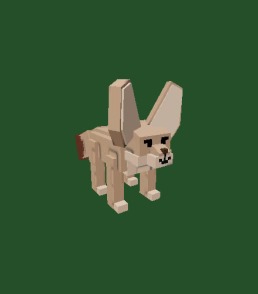 ✨1x RACCOON + Fennec Fox✨ LİMİTED RACOON ✨RACCOON + Fennec Fox