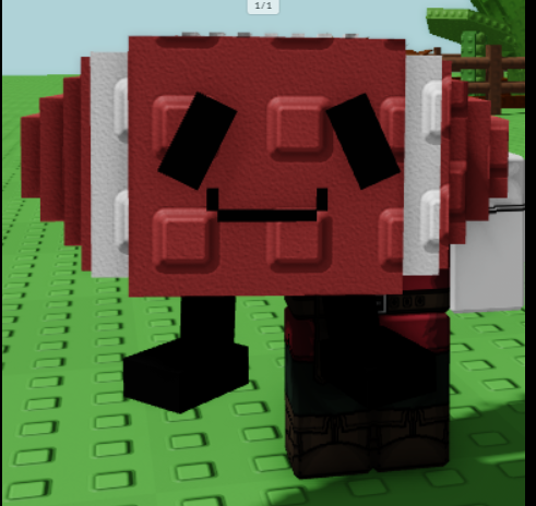 FootBall - - New Pet