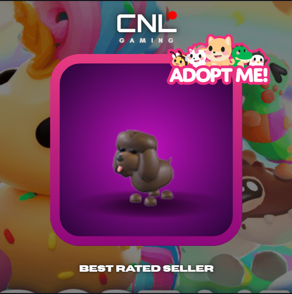 Adopt Me > Irish Water Spaniel > Normal