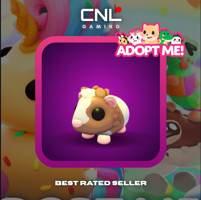 Adopt Me > Chocolate Dutch Guinea Pig > R