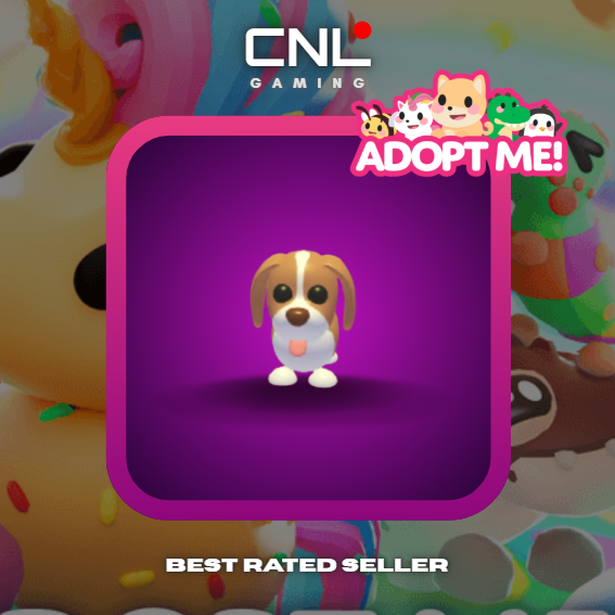 Adopt Me > Brown Springer Spaniel > N