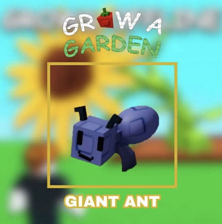 Giant ant