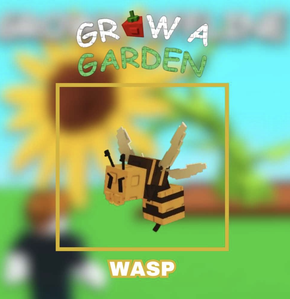 Wasp