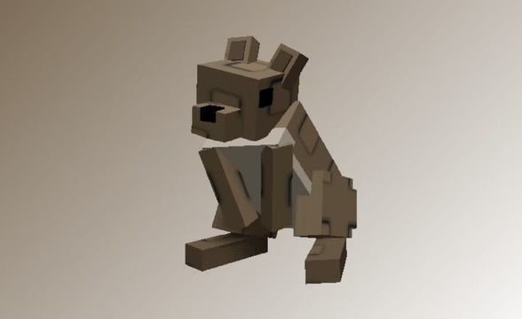 Squirel
