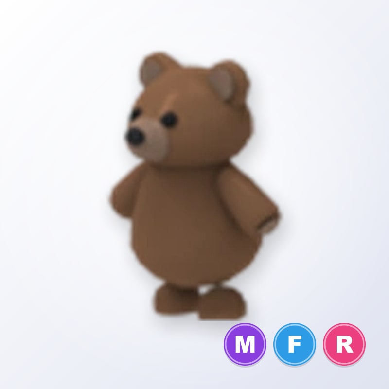 Brown Bear - MFR