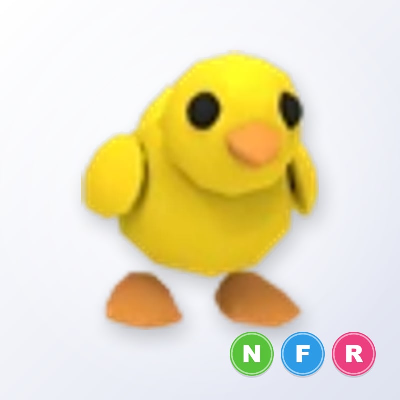 Chick - NFR