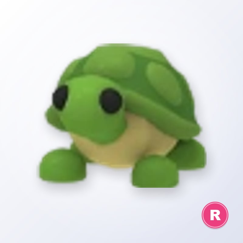 Turtle - Legendary - R