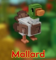 MALLARD - GROW A GARDEN