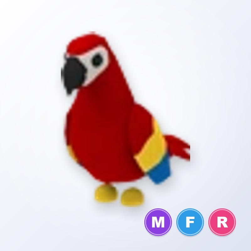 ⭐MFR Parrot⭐