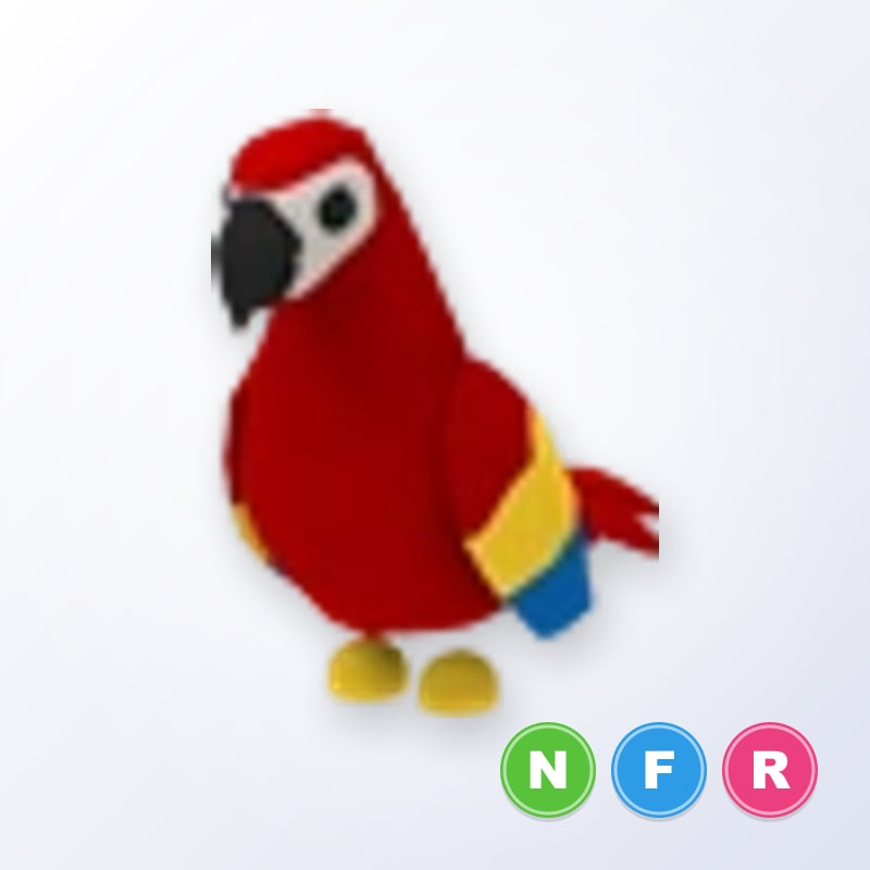 ⭐ NFR Parrot⭐